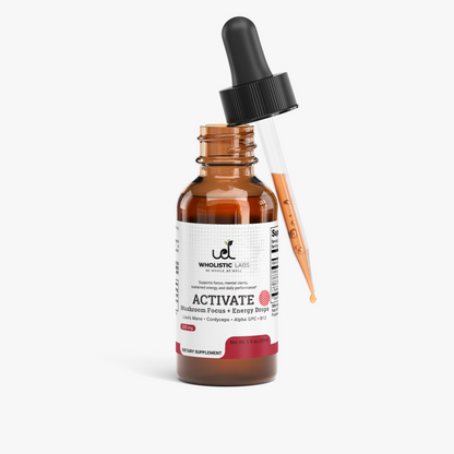 ACTIVATE - Mushroom Focus + Energy Drops