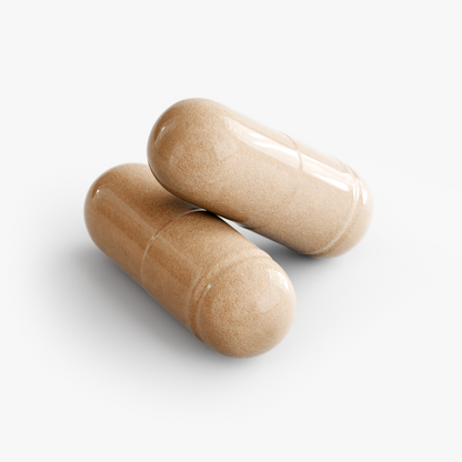 Recharge 10x - Mushroom 10x